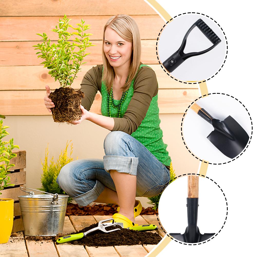 36cm 정원 삽 나무 손잡이가 있는 스테인레스 스틸  - Gardening Tools 5 Year Old 리뷰 및 가격