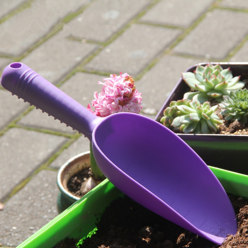두꺼운 미니 정원용 삽 가정용 꽃 흙삽 다육 식물 화분 - Gardening Tools Shovel 리뷰 및 가격