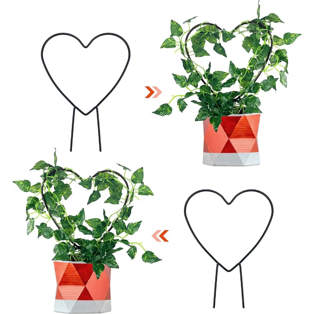 식물 지지대 정원 말뚝 스탠드, 둥근 덩굴 등반 랙,  - Gardening Tools Australia 리뷰 및 가격