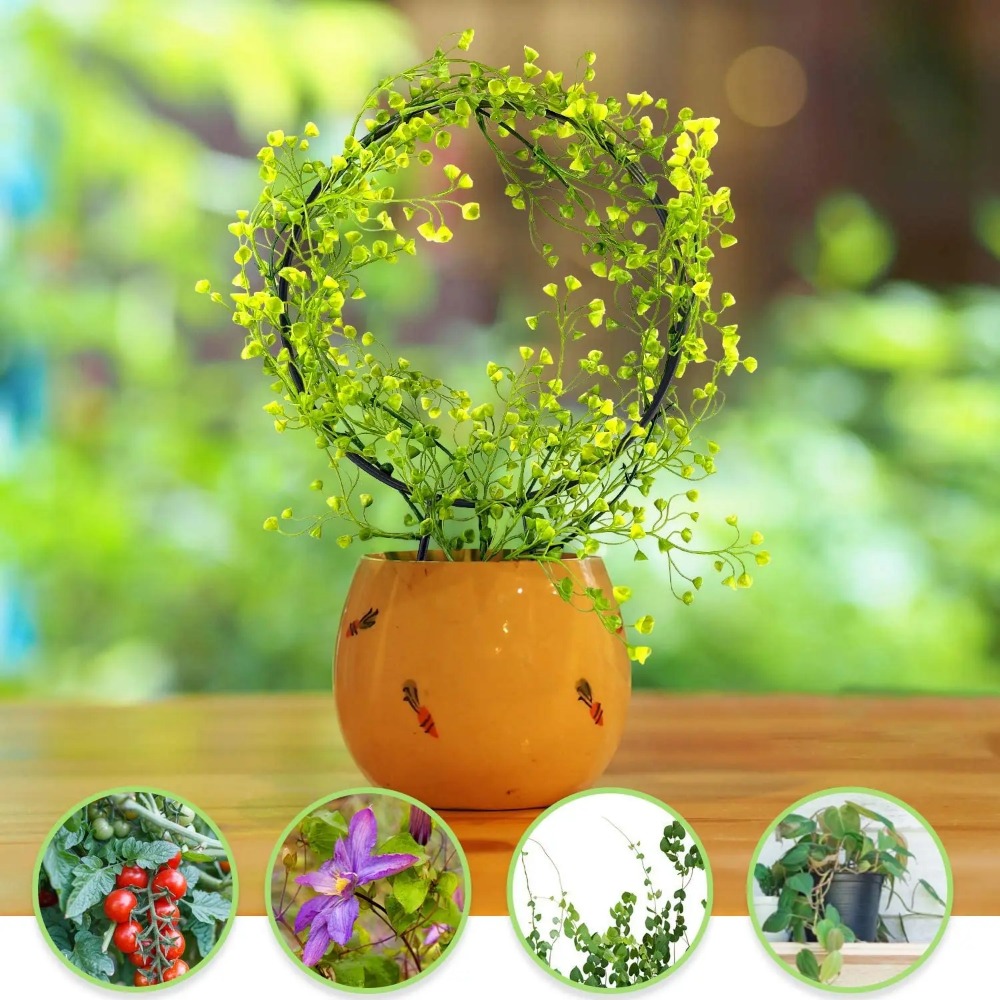 식물 지지대 정원 말뚝 스탠드, 둥근 덩굴 등반 랙,  - Gardening Tools Australia 리뷰 및 가격
