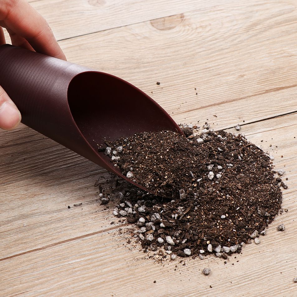 정원용 플라스틱 토양 삽 컵, 토양 스페이드 재배 양동 - Gardening Tools Shovel 리뷰 및 가격